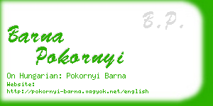 barna pokornyi business card